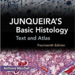 Junqueira's Basic Histology Text & Atlas